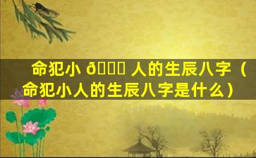 命犯小 🐈 人的生辰八字（命犯小人的生辰八字是什么）